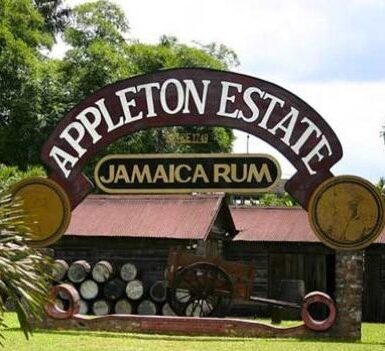 Appleton-Estate-Jamaican-Run-Tour-e1643127666133.jpg