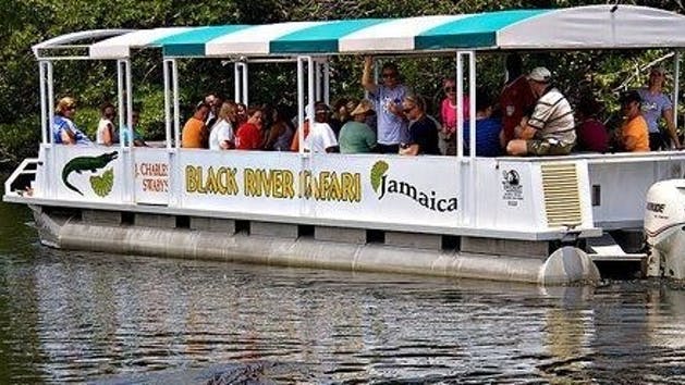 Black-River-Safari-Jamaica-1.jpg
